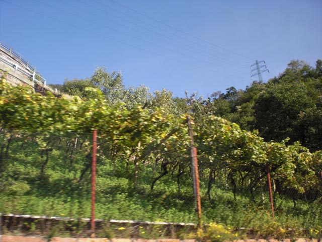 Musikausflug2009 035